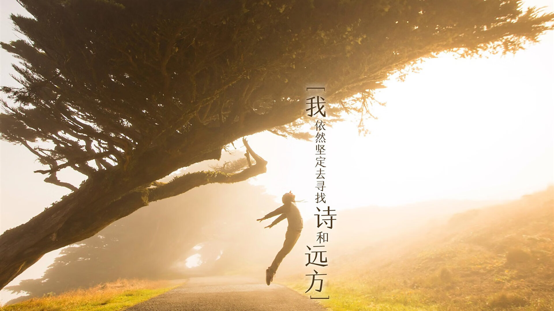 _掘金士气高昂,攻防两端表现出色_,掘金的战术