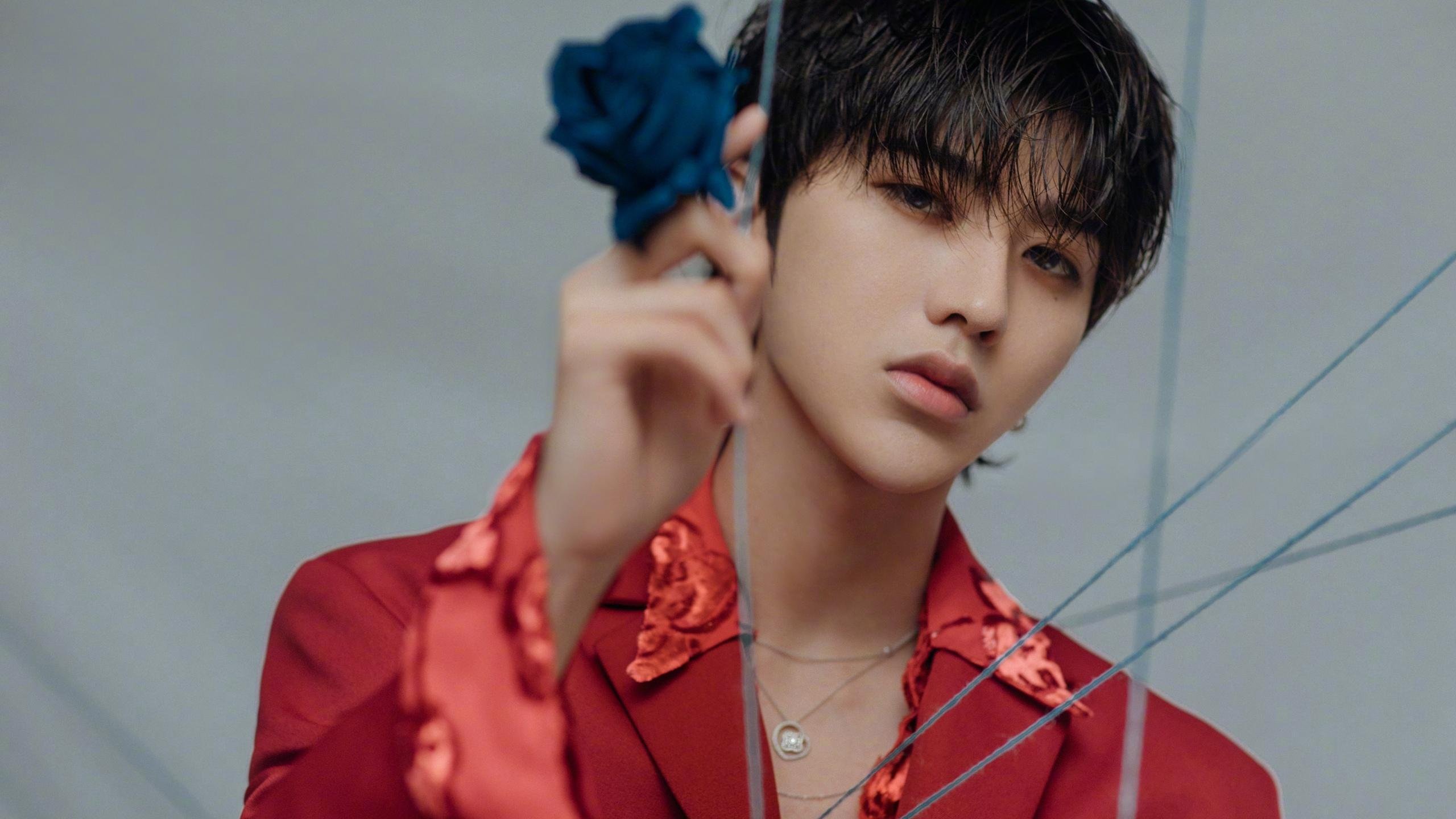 全球车迷热情共鸣：欢庆赛季高潮