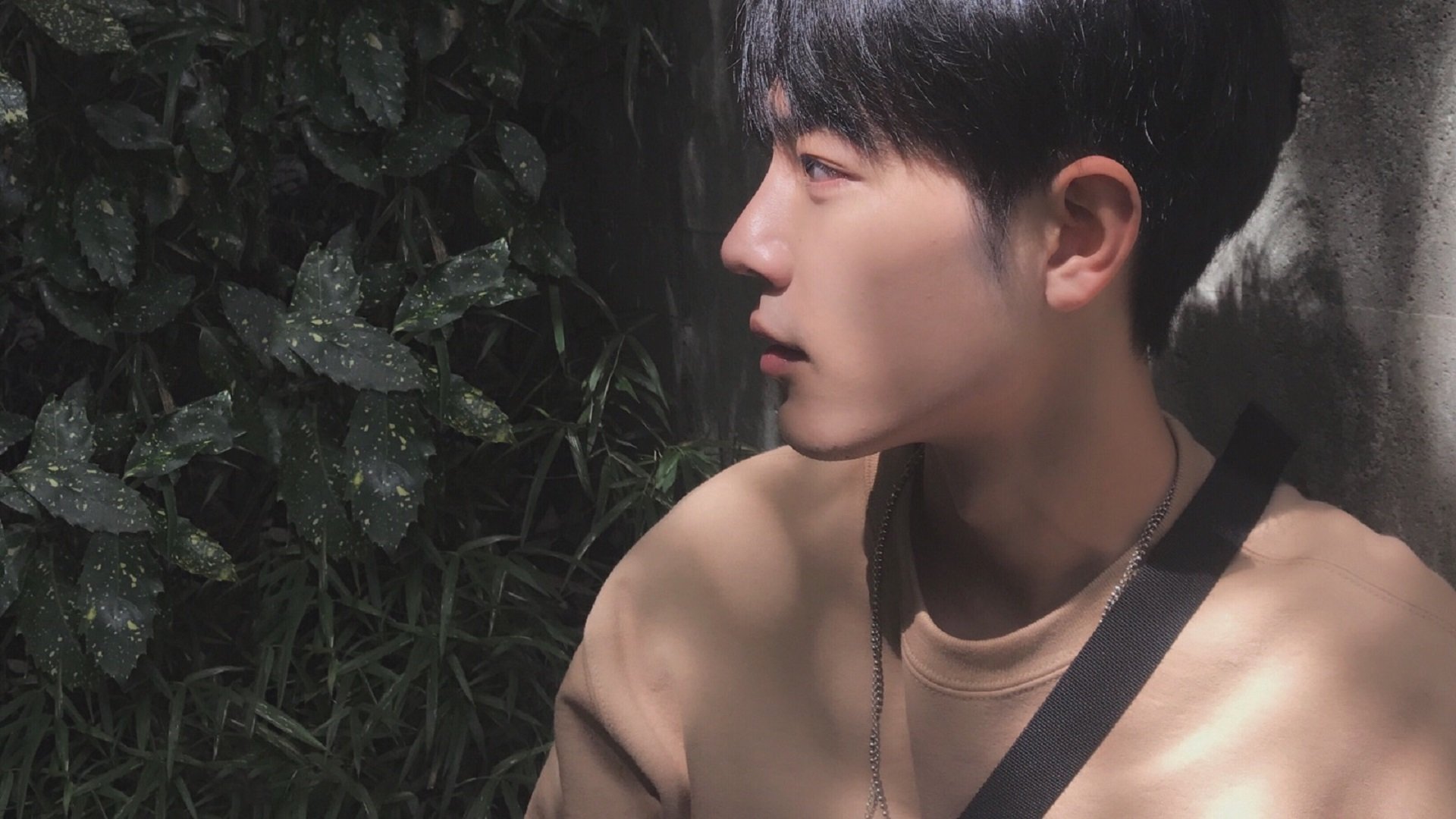 全球车迷热情共鸣：欢庆赛季高潮