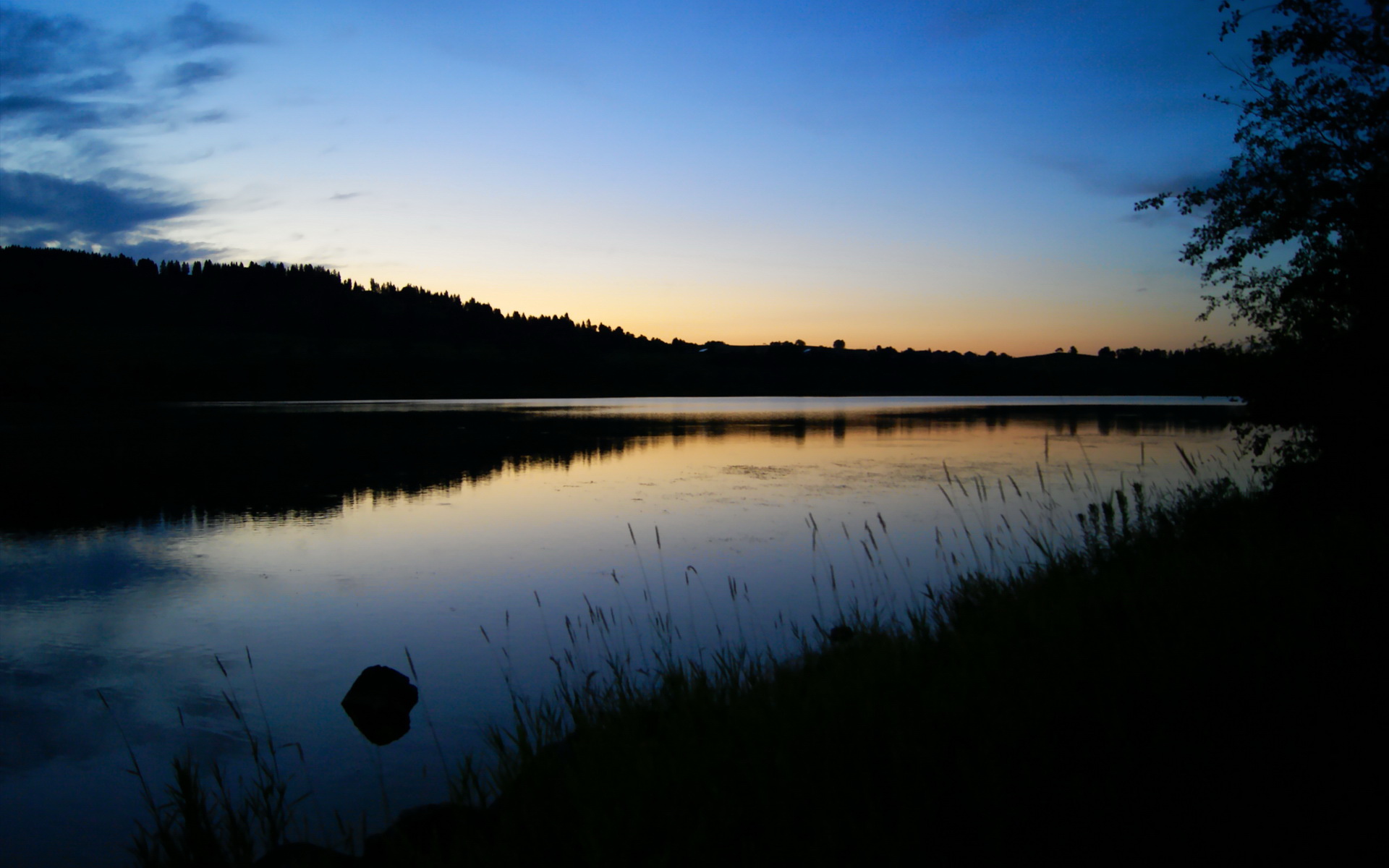 孙铭徽带伤坚守赛场，展现运动精神，孙铭徽集锦视频